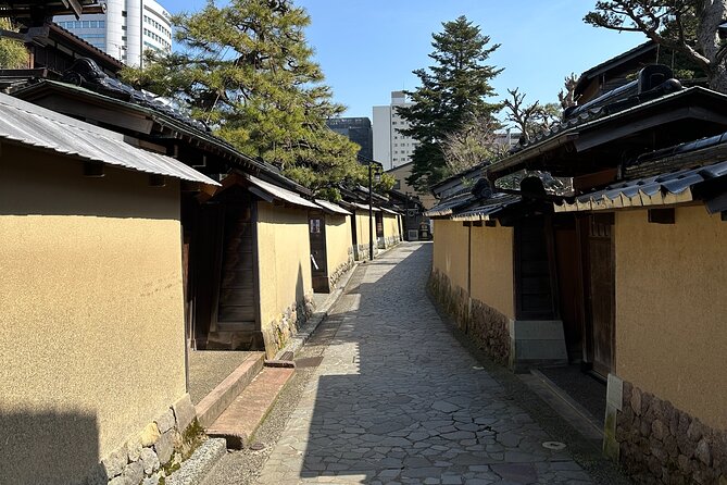 Private Walking Tour in Kanazawa With Local Guides - Tips for Your Tour