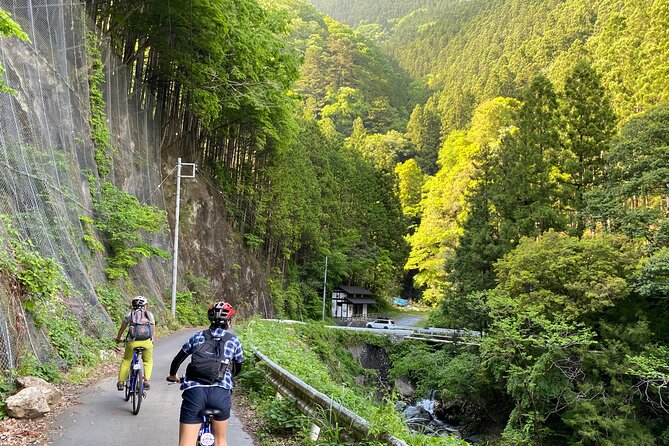 Tokyos Hidden Nature Cycling Tour - Okutama Historical Road Tour - Pricing and Payment Options