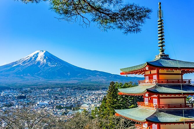 Walking Tour in Mt. Fuji From Tokyo - Pricing and Inclusions