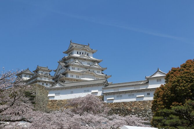 World Heritage Himeji Castle &Traditional Sake Breweries Tour - Pricing and Inclusions