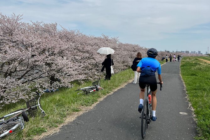 English/Italian Guided Cycling Tour in Tokyo(With a Rental Bike) - Restrictions and Requirements