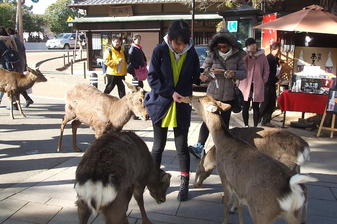 Exploring Nara - Logistics and Transportation