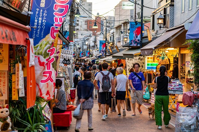 Guided Walking Exploration of Historic Tokyo - Accessibility Considerations