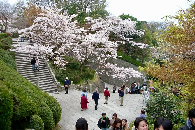 Higashiyama Kiyomizudera and Yasaka Shrine Discovery Walking Tour - Pricing and Availability