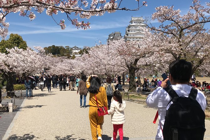 HIMEJI CASTLE Custom Tour With Private Car and Driver (Max 9 Pax) - Pickup and Drop-off Options