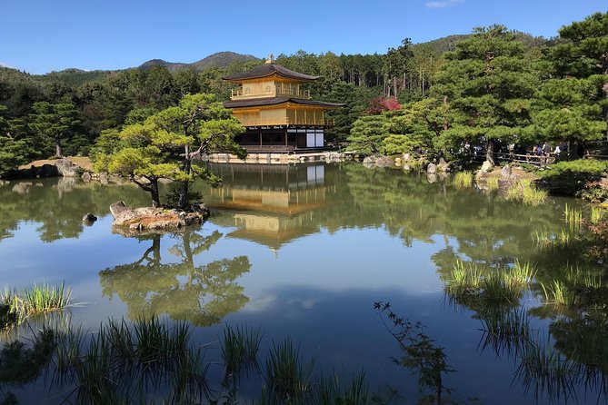 KYOTO-NARA With Private Car & Driver (Max 7 Pax) - Pricing and Inclusions