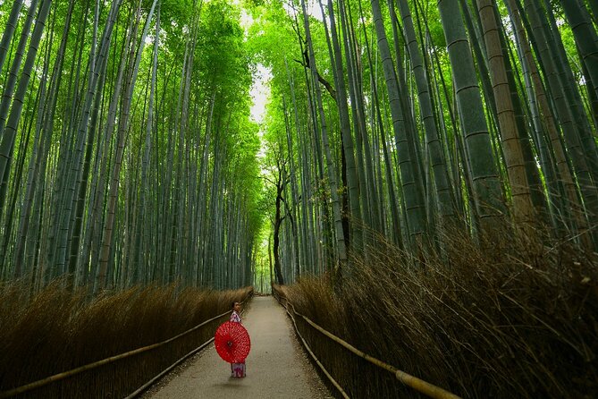 Kyoto Self-Guided Audio Tour - Reviews and Feedback