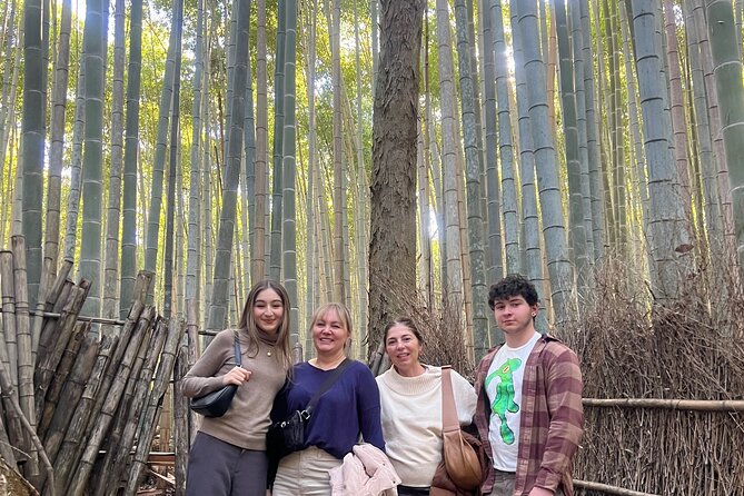 Kyoto Tour All Included With Cruise Port Pick up From Kobe - Positive Experiences