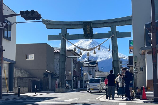 Mt FUJI - Panoramic Tour With Hoto Lunch Sake Samplings and Onsen - Traveler Requirements