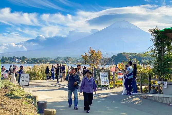 MT Fuji Sightseeing Customized Private Day Tour Up-to 9 Persons - Tips for an Enjoyable Experience