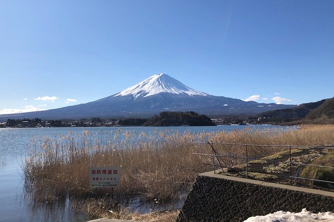 Mt Fuji With Kawaguchiko Lake Day Tour - Customer Reviews and Ratings