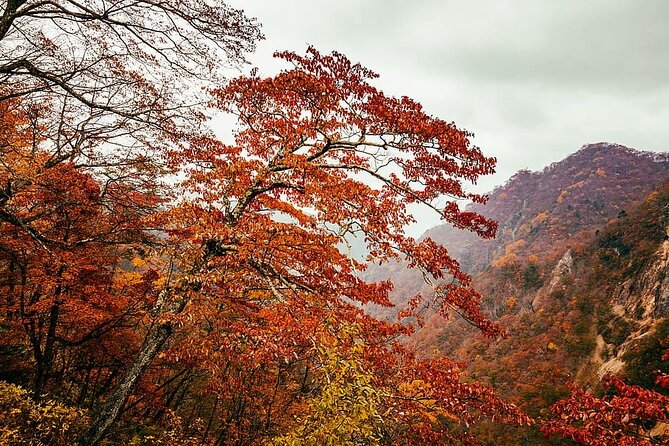 Nikko Private Day Trip With English Speaking Driver - Tips for a Great Day