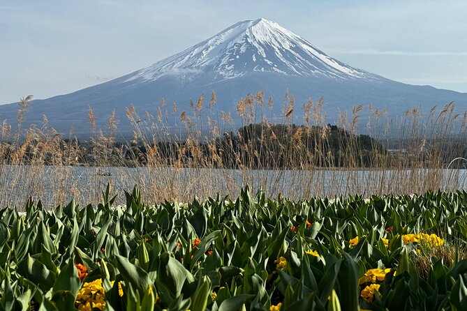 One Day Mountain Fuji & Hakone Tour With English Hindi Bilingual - Highlights of the Tour