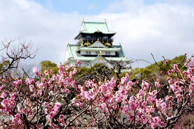 Osaka Cherry Blossom Tour With a Local: 100% Personalized Private - Pricing and Reservation Details