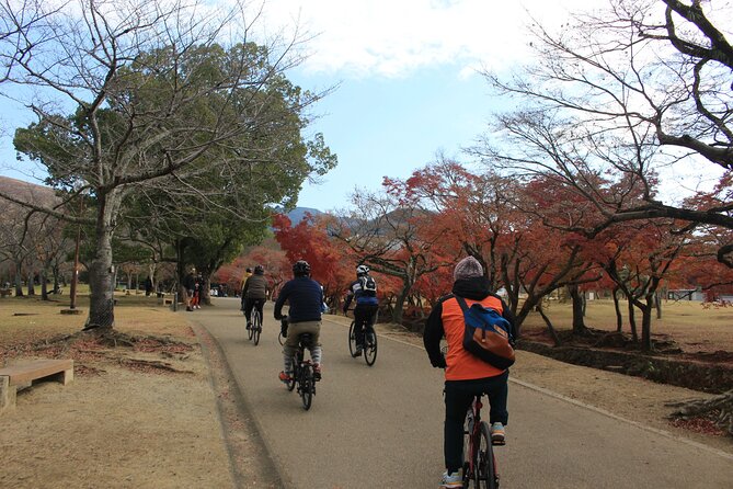 Private Bike Tour in Nara With Japanese Guide - Tips for a Great Tour