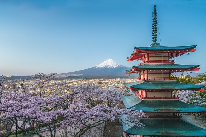 Private Mount Fuji and Hakone Tour With English Guide - Customer Reviews