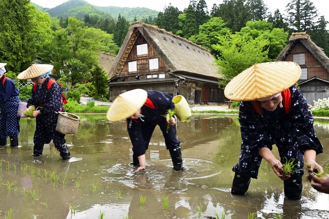 Shirakawago & Takayama Tour Kanazawa DEP: Driver Only, No Guide - Reviews and Feedback