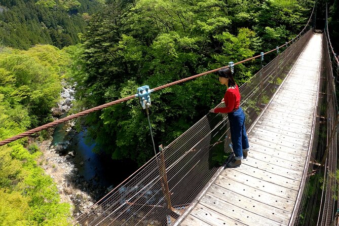 Tokyos Hidden Nature Cycling Tour - Okutama Historical Road Tour - Reviews and Traveler Experiences