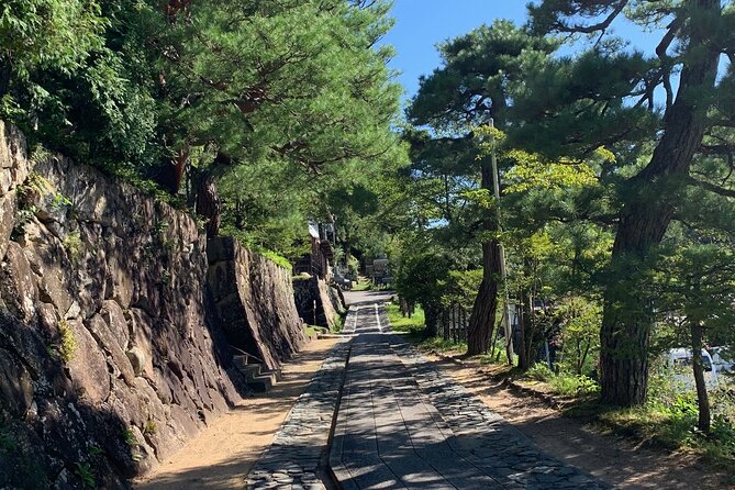 Zen Meditation and Higashiyama Temples Walking Tour - Traveler Reviews and Feedback