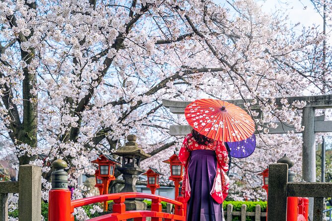 1-Full Day Private Experience of Culture and History of Kyoto for 1 Day Visitors - Booking Process