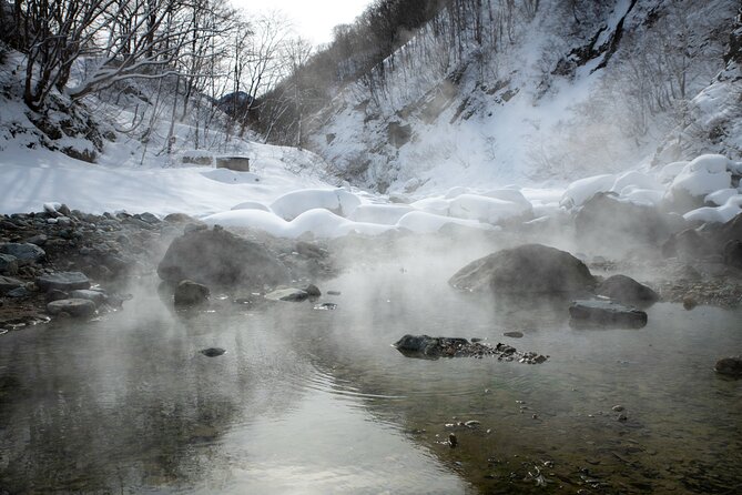 A Secret Wild Outdoor Bath Rotenburo Experience From NAGANO - Pricing and Payment Options