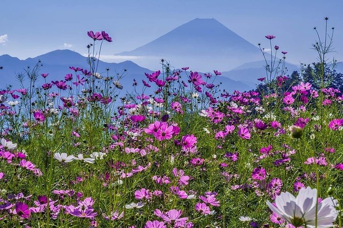 Fuji Kawaguchiko Hakone Private Car Tour - Booking Information and Tips