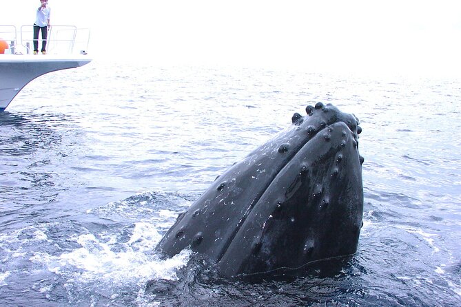 Full Day Guided Boat 2diving in Kerama Islands（License Required） - Safety and Accessibility Considerations