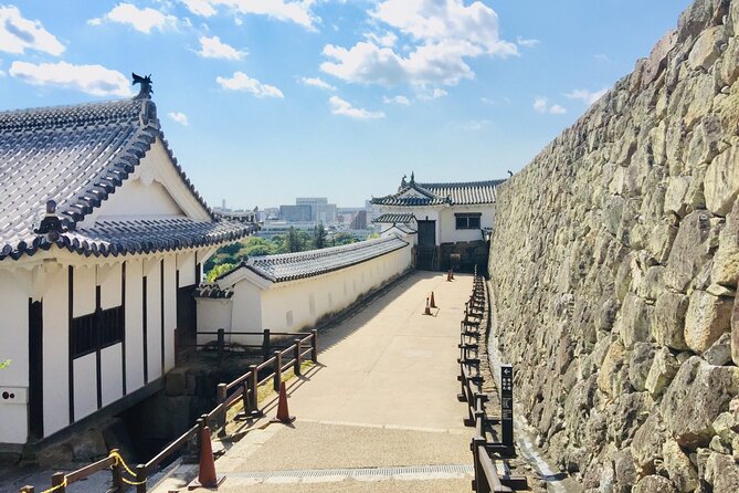 Half-Day Private Guide Tour to Himeji Castle - Customer Reviews