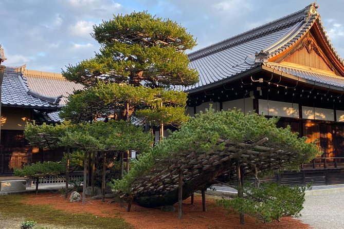 Kyoto, Osaka, NARA or KOBE With Private Car & Driver [Max 9 Pax] - Nearby Attractions to Explore