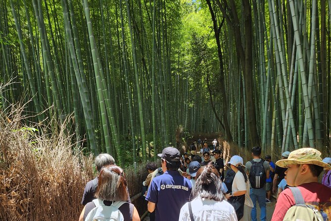 Osaka Dep, Arashiyama Ninnaji and Golden Pavilion Full Day Tour - Cancellation Policy