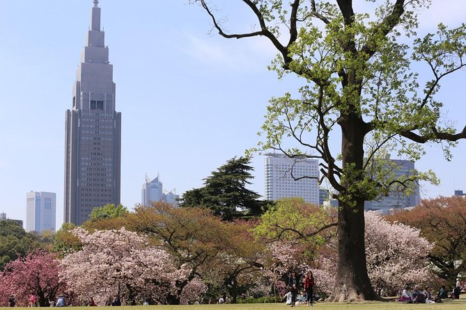 Private Departure Transfer : Central Tokyo City to Narita International Airport - Benefits of Private Transfers