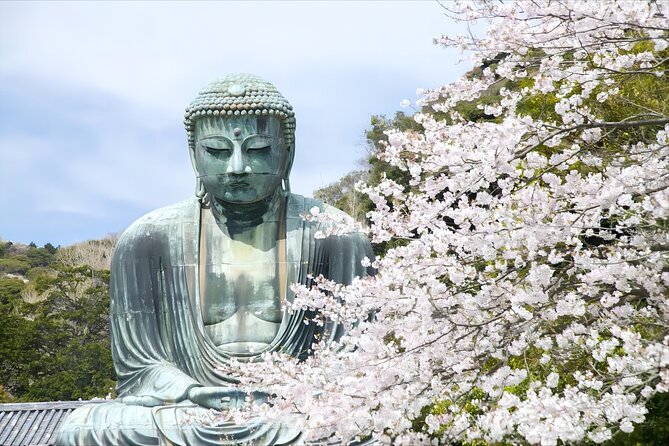 From Tokyo: Full Day Tour to Kamakura Great Buddha & Enoden Ride - Key Points