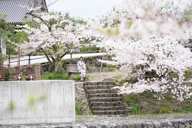 Guided Uji Walking Tour - Key Points