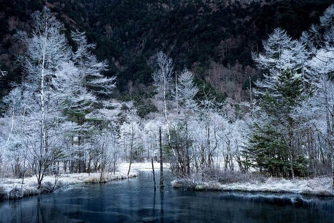 Japan Alps Kamikochi Day Hike With Government-Licensed Guide - Key Points