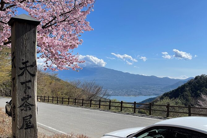 Japanese Wine and Onsen Tour Experience in Yamanashi Japan - Key Points