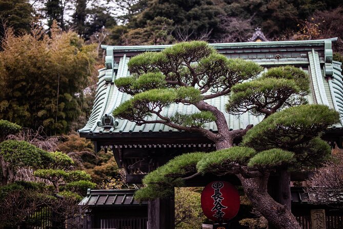 Kamakura Full Day Private Tour - Key Points