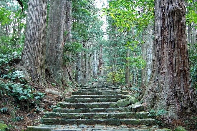 Kumano Kodo Half Day Daimonzaka and Nachi Taisha Tour - Key Points