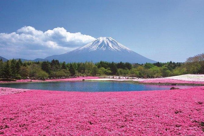 Mt. Fuji Flower Festival Tour With Ropeway Experience From Tokyo - Key Points