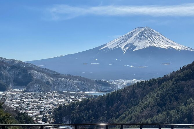 Mt FUJI - Panoramic Tour With Hoto Lunch Sake Samplings and Onsen - Key Points