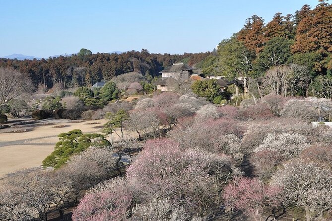 Samurai Private Tour With Lantern Making in Mito - Location and Meeting Point