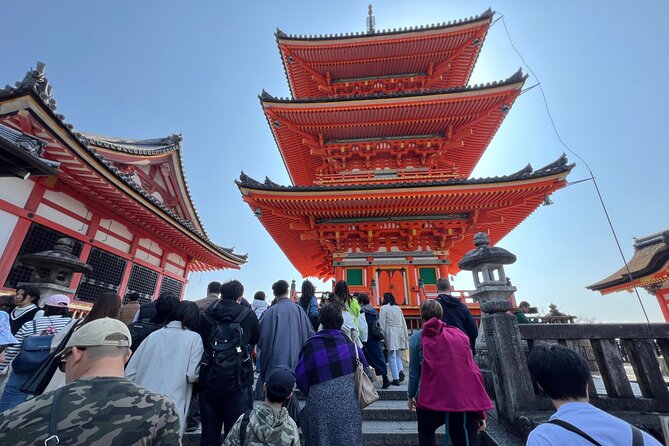 Kyoto Golden Pavilion and Nijo Castle Tour