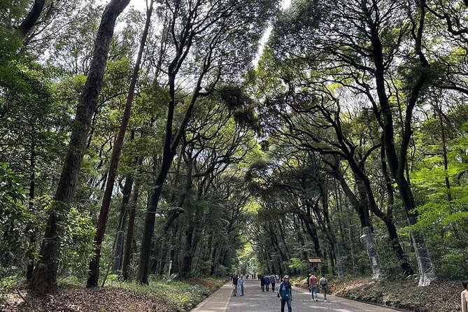 3 Hour Private Tokyo Meiji Jingu Shrine Wellness Tour - Booking and Cancellation Policies