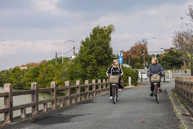 Explore Nara the Birthplace of the Country With E-Bike - Benefits of E-Biking in Nara