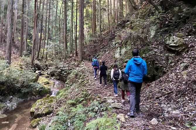 Explore Nature in Yoshino With E-Bike Tour - Whats Included in the Tour