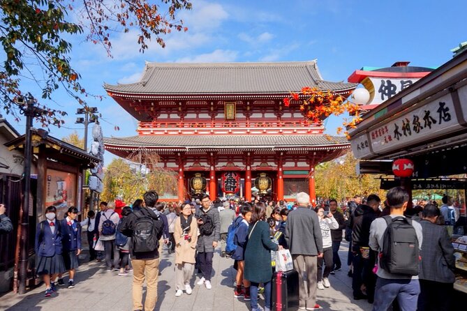 First-Time in Tokyo? Experience the Best With Our Private Tour! - Accessibility Options