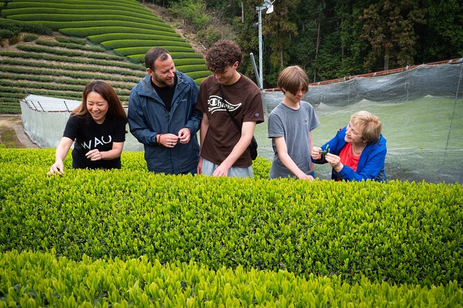 Full Day Private Matcha Experience True Hidden Kyoto - Matcha Tasting With a Tea Master