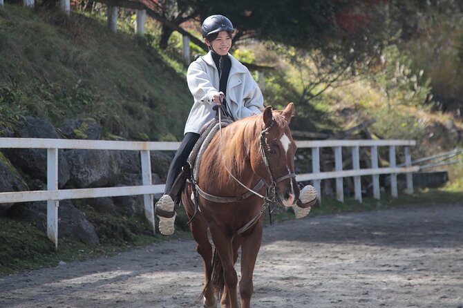 Horse Riding Experience in Nature Rich Lake Shirakaba - Getting to Lake Shirakaba