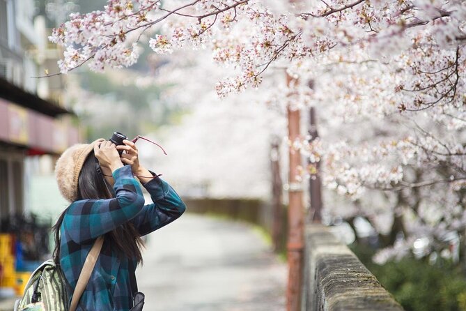 Kyoto Unveiled: A Tale of Heritage, Beauty & Spirituality - The Allure of Kiyomizu Temple