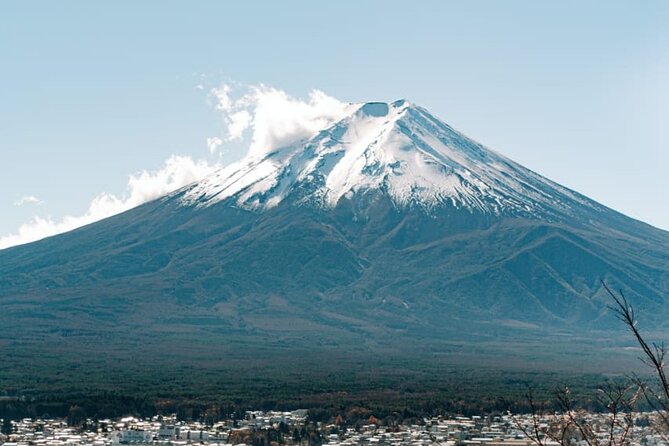 Mt. Fuji, Lake Kawaguchiko Private Tour With Pick up - Transportation Options