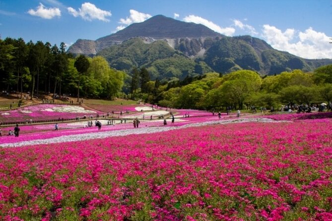 Private Walking Tour With Sake Brewery Visit in Chichibu - Sake Brewery Experience